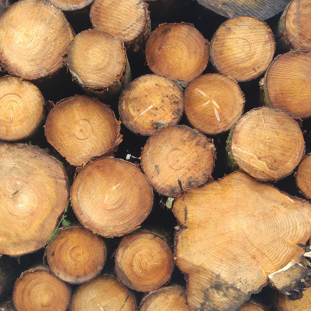 stack of logs
